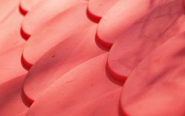 Gignog plastic roof costs